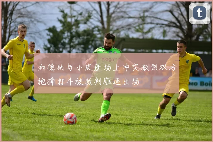 加德纳与小皮蓬场上冲突激烈双方抱摔打斗被裁判驱逐出场
