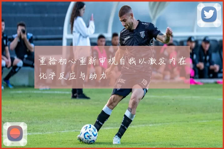 重拾初心重新审视自我以激发内在化学反应与动力