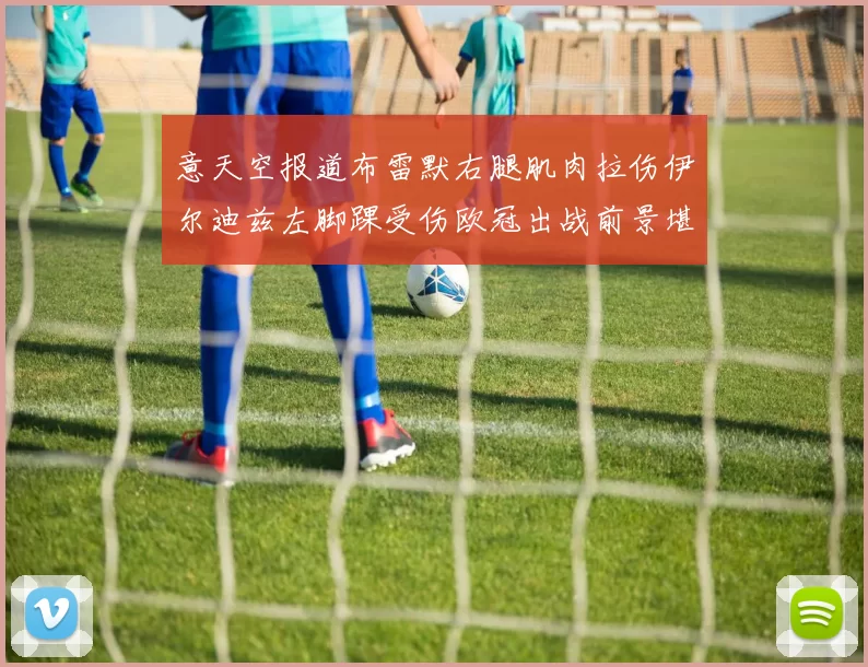 意天空报道布雷默右腿肌肉拉伤伊尔迪兹左脚踝受伤欧冠出战前景堪忧